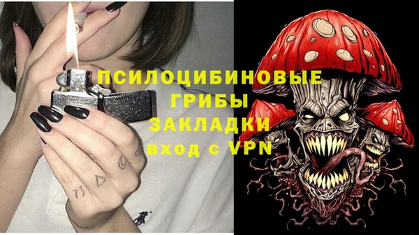 ПСИЛОЦИБИНОВЫЕ ГРИБЫ Вязники