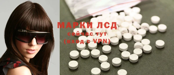 гашик Вязьма
