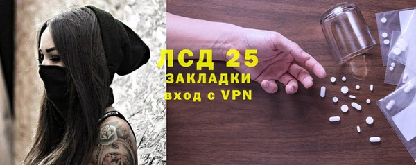 ПСИЛОЦИБИНОВЫЕ ГРИБЫ Вязники
